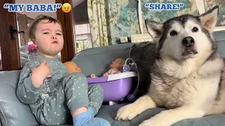 Teaching My Sassy Baby How To Share With Her Husky!😂. [FUNNIEST REACTION EVER!!!]