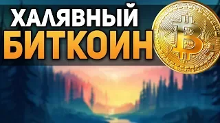 РАЗДАЧА БИТКОИНА! КАК ПОЛУЧИТЬ БИТКОИН НА ХАЛЯВУ! НОЯБРЬ 2018 ПРОГНОЗ