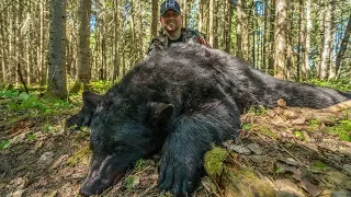 Bowhunting Black Bears in Quebec!