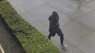 Woman, 72, punched in the back of the head in Brooklyn: NYPD