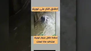 سقط طفل بجوار غوريلا فشاهد ماذا فعلت