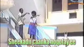 Sanqoole iyo Dhagoolka 6.flv