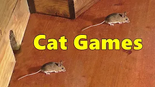 Cat Games Mouse 🐭 Mice Fun for Cats