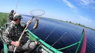 Рыбалка оз. Чаны, Бешеный клев как на Черных Камнях часть 2 сазан, карась, язь