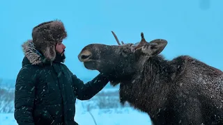 أغرب وأخطر حيوان في غابات سيبيريا | سافرت مخصوص عشان اشوفه عن قرب #طاهرمسافر   🦅