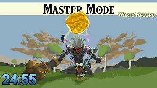 Master Mode Any% 24:55 [WR]