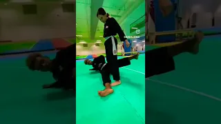 Pencak silat bela diri Martial arts technique