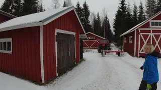 SUURI METSÄSEIKKAILU KONELADYN KANSSA