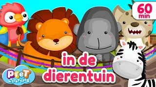 Pretlettertjes • Dierengeluiden in de Dierentuin • 60 min Special