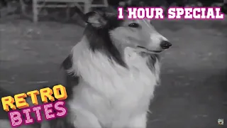 Lassie | 1 Hour Special | English |  Full Episodes