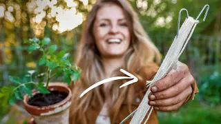 🍅 Tomaten-Ernte verdoppeln mit Draht und Schnur