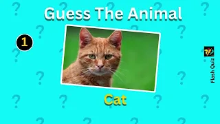 Can you guess animals name in just 3 sec | Flash Quiz