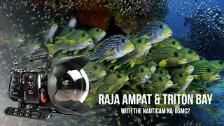 Raja Ampat and Triton Bay, Indonesia filmed in 8K with RED Weapon Helium and Nauticam Weapon LT