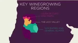 Discover Mendoza wines - VINOA