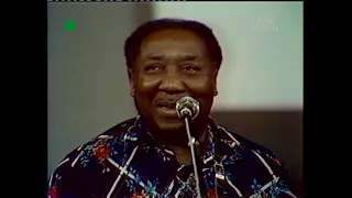 Muddy Waters-Baby Please Don't Go-Howlin' Wolf 1976 NOW in stereo sound