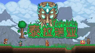 Why Terraria in China is Completely Different (Terraria History)