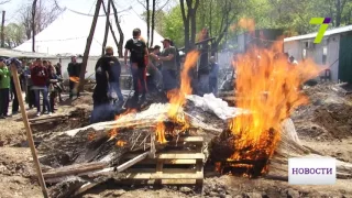 Словесные перепалки и драки между активистами у пляжа "Отрада"