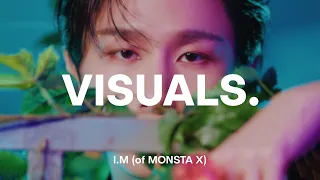 SOULBYSEL, I.M (of MONSTA X) - nvrmnd | VISUALS.