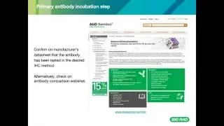 Mastering Immunohistochemistry Staining Experiments