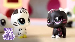 LPS Emily: Littlest Pet Shop Black & White Collection Review! #ad