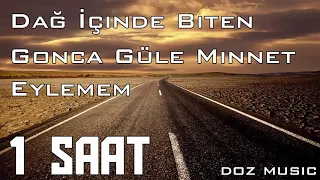 Dağ İçinde Biten Gonca Güle Minnet Eylemem / 1 SAAT VERSİYON