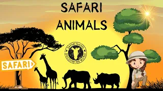 Safari Animals - Come along and learn African animals