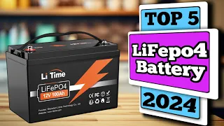 Best Budget Lifepo4 Battery