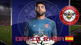 David Raya best saves