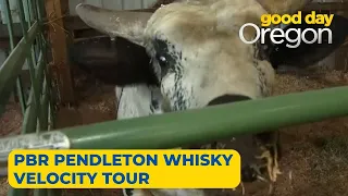 On the Go with Ayo at PBR Pendleton Whisky Velocity Tour