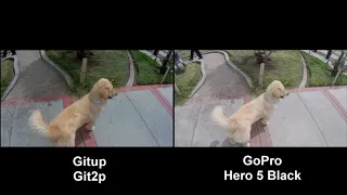 GITUP GIT2P VS  GOPRO HERO5 BLACK