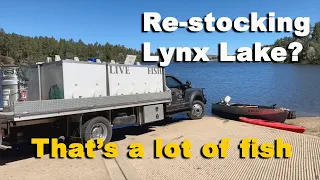 Lynx Lake Prescott AZ | Re-stocking Fish | Prescott Lakes