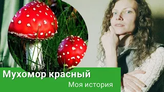 Микродозинг мухомора &  красный мухомор &  моя история & Ясный Свет