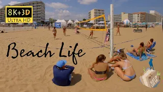 8k 3D Virginia Beach 61st East Coast Surfing Championship+Volleyball|ECSC Womens Bikini FinalPREVIEW