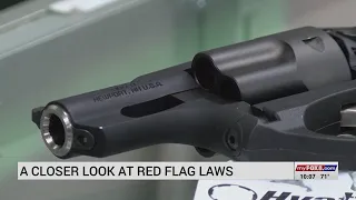 NC's Republican Senators back effort to adopt red-flag law