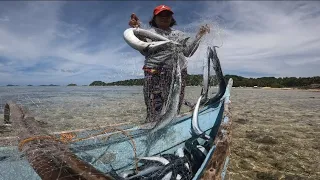 Halos sumubsob ang Unahan sa Dami ng Batalay na Nahuli sa Pahibas