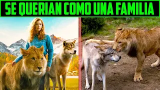 RESUMEN : UNA CHICA SE VUELVE LA MADRE DE UN LEON Y UN LOBO - EL LOBO Y EL LEON  EN 12 MINUTOS