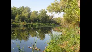 Как незаметно день за днём год пролетает...