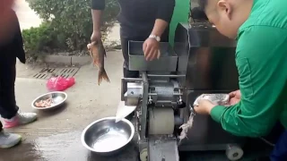 Fish filleting machine 1