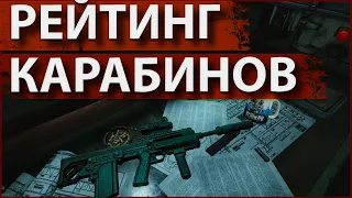 Рейтинг всех Карабинов в  Escape from Tarkov!