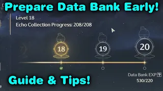 LEVEL UP DATABANK FAST EARLY! | Wuthering Waves Tips Guide