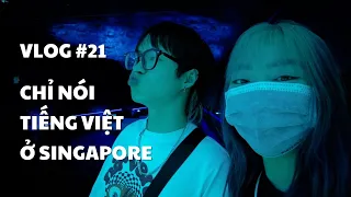 VLOG #21: CHỈ NÓI TIẾNG VIỆT Ở SINGAPORE | duongfynn