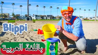 حلقة تعلم الألوان و العد على الشاطئ مع بليي | بلبي بالعربي | كرتون  و أغاني بليبي | Blippi Arabic