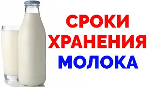 Срок хранения молока в холодильнике и при комнатной температуре
