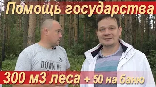 Как получить лес (бревно, брус и доски) по лесному кодексу РФ на дом, баню или ремонт