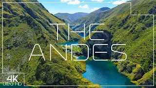 Secrets of The Andes ⛰️ A 4K nature documentary
