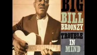 Big Bill Broonzy: Black, Brown and White