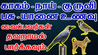 காக்கா நாய் குருவிக்கு உணவு வைப்பவர்கள் தவறாமல் பார்க்கவும் | Lucky pets | Astrology