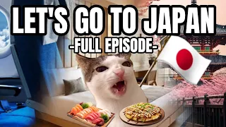 CAT MEMES: FAMILY VACATION COMPILATION EP.2