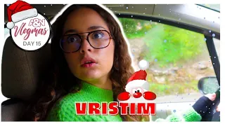 ANDJELA UCI NADJU DA VOZI (vristanje u najavi) VLOGMAS 15/31🎄