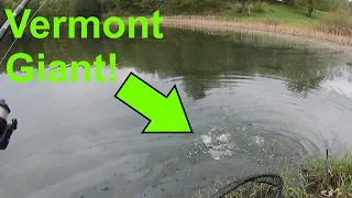 Small Pond Fishing For Vermont Trout! [Primordial Fishing Episode 117]
